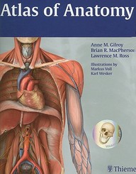 Buy Atlas Of Anatomy (thieme Anatomy) Book : Anne Gilroy,brian 