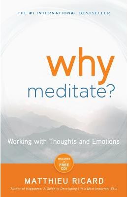 Why Meditate? [With CD (Audio)]