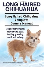 Buy Long Haired Chihuahua Long Haired Chihuahua Complete Owners