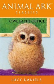 Owl In The Office 9 Animal Ark