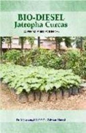 Bio Diesel Jatropha Curcas A Promising Source
