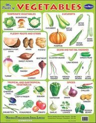 Buy Navneet Big Wall Chart Vegetables : F0008 book : Na , 8124304661 ...