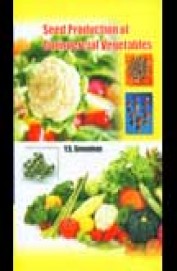 Seed Production Of Commercial Vegetables
