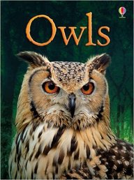 Owls