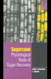 Sugarcane Physiological Basis Of Sugar Recovery