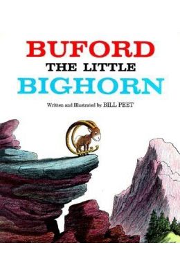 Buford the Little Bighorn