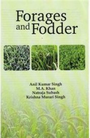 Forages & Fodder