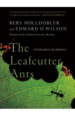 The Leafcutter Ants: Civilization by Instinct