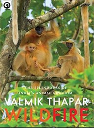 Wild Fire : The Splendours Of Indias Animal Kingdom