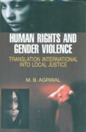 Human Rights & Gender Violence : Translation International Into Local Justice