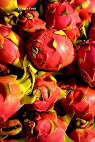 Dragon Fruit: (Website Password Organizer ) Never Worry About Forgetting Your Website Password or Login Again!