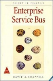 Theory In Practice Enterprise Service Bus