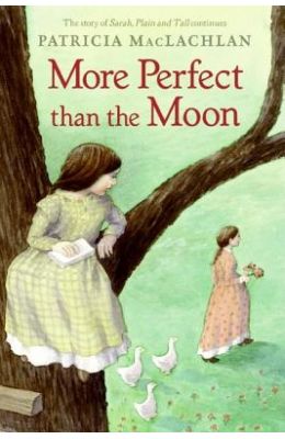 More Perfect Than the Moon