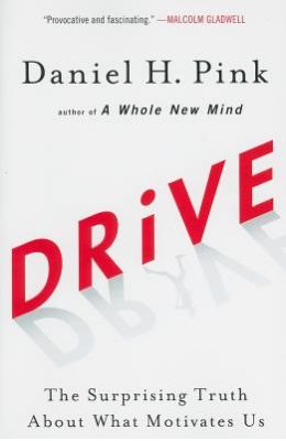 Drive: The Surprising Truth about What Motivates Us