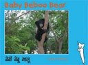 Baby Beboo Bear