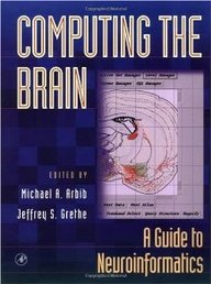 Computing The Brain