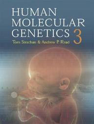 Human Molecular Genetics 3