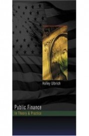 Buy Public Finance In Theory Practice Book Holley H - 