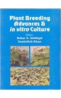 Plant Breeding Advances & in Vitro Culture (HB)