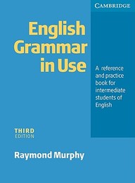 English Grammar In Use : A Reference & Practice Book For Intermediate Students Of English