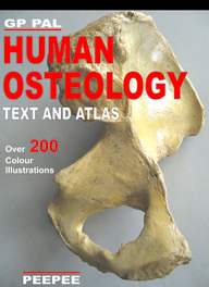 Human Osteology