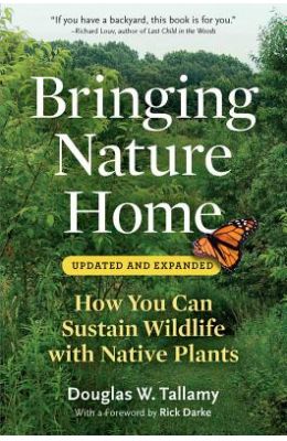 Bringing Nature Home: How You Can Sustain Wildlife with Native Plants
