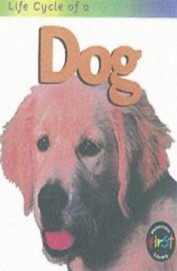 Life Cycle Of A Dog