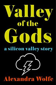 The Valley of the Gods: A Silicon Valley Story
