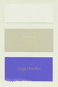 Too Much and Not the Mood: Essays