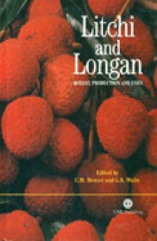Litchi And Longan : Botany Production And Uses