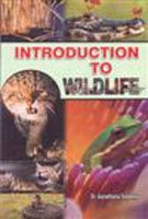 Introduction To Wildlife