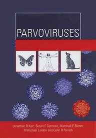 Parvoviruses (Hodder Arnold Publication)