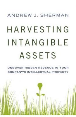 Harvesting Intangible Assets: Uncover Hidden Revenue in Your Company's Intellectual Property