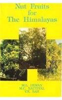 Nut fruits for the Himalayas (Concept's discovering Himalayas series)