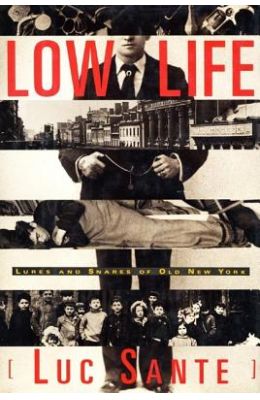 Low Life: Lures and Snares of Old New York