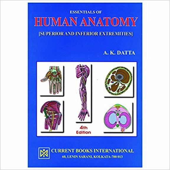 imaginefx essential anatomy volume 3