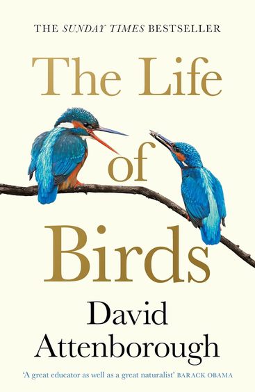 Life Of Birds