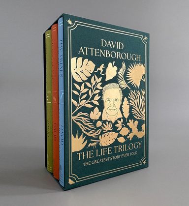 Life Trilogy Boxset