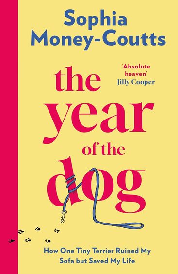 Year of the Dog: How One Tiny Terrier Ruined My Sofa but Saved My Life