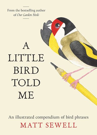 Little Bird Told Me: An Illustrated Compendium of Avian Idioms