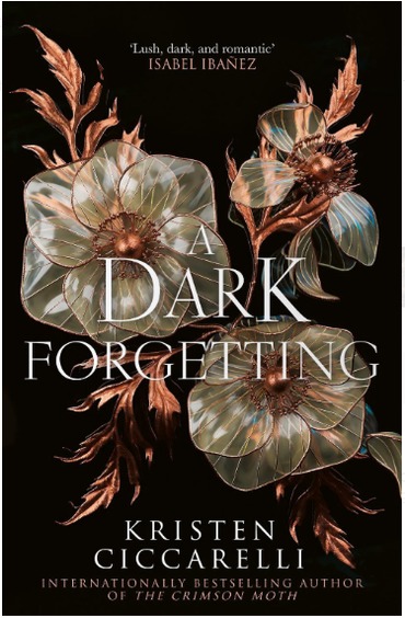 Dark Forgetting