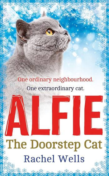 Alfie The Doorstep Cat