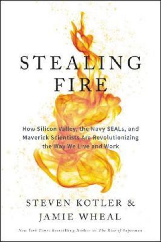 Stealing Fire : How Silicon Valley The Navy Seals And Maverick Scientists Are Revolutionizing The Wa