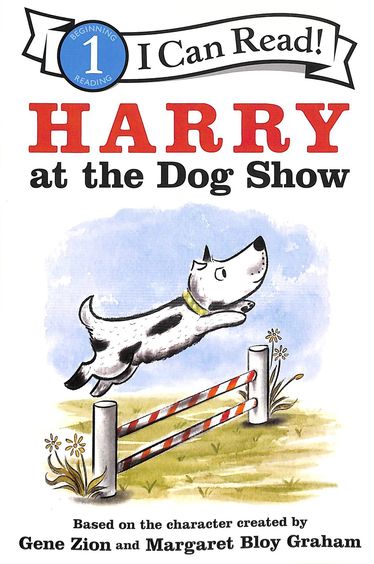 Harry At The Dog Show