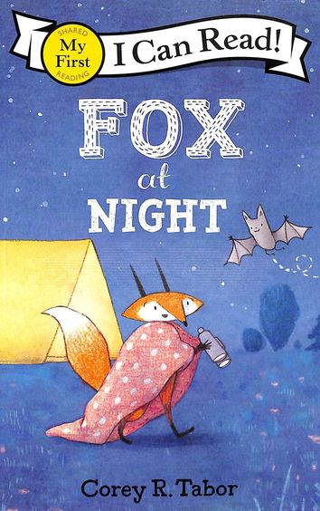 Fox At Night