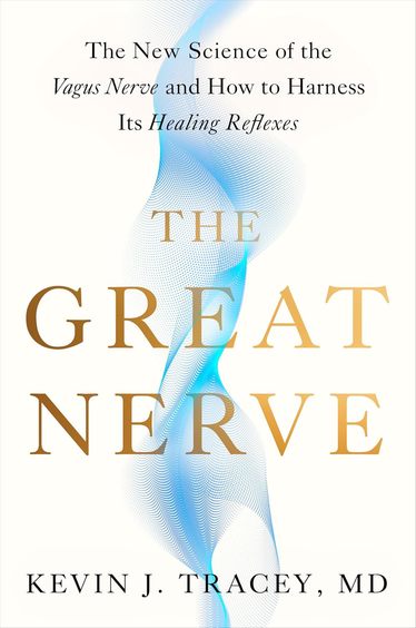 Great Nerve