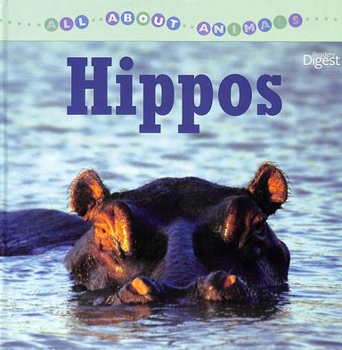 All About Animals : Hippos
