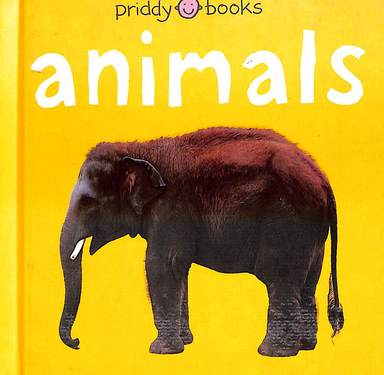 Animals : Bright Baby