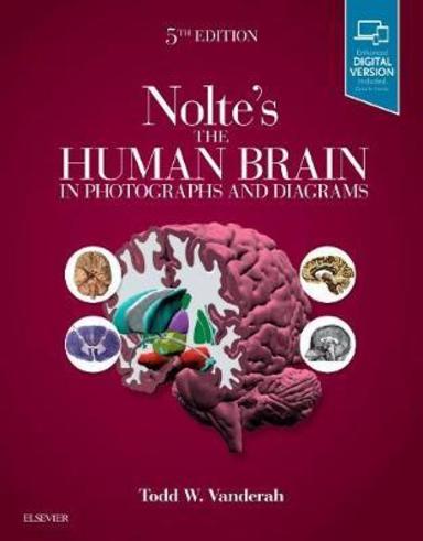 Noltesthe Human Brain in Photographs and Diagrams: 5th Edition