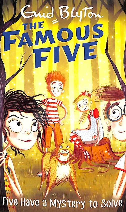 Buy Famous Five 20 : Five Have A Mystery To Solve book : Enid Blyton ...